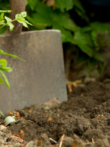 Quelques conseils pour savoir quand et comment purifier vos pierres naturelles dans la terre.